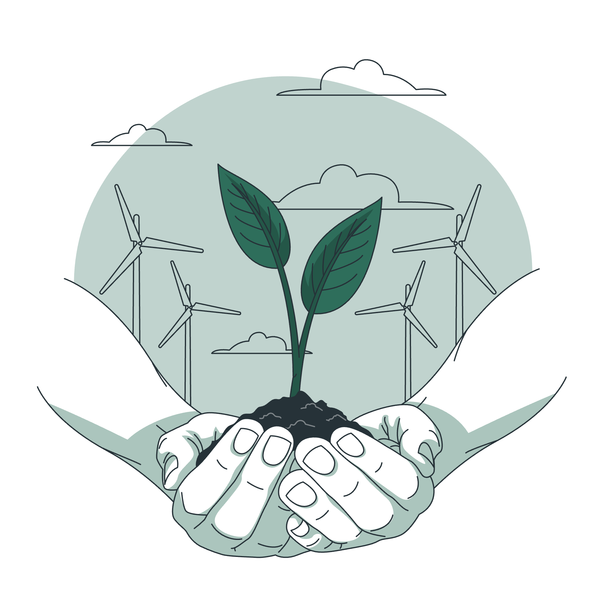 Environmental Impact